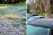 Campos do Jordão registra 2,1°C e sensação térmica de -1,3°C