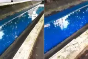 Canal 4 em Santos fica com água azul fluorescente e intriga moradores