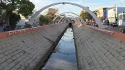 Cardume no Canal Campos-Macaé atrai curiosos, mas consumo é proibido