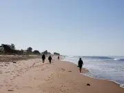 Carpinteria: o refúgio esquecido da Califórnia para escapadas