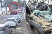 Carro capota após mal súbito e derruba coqueiro em praia de SP