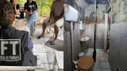 Caseiro e família resgatados de trabalho escravo no Ceará após 18 anos