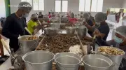 Castanha-da-Amazônia impulsiona economia sustentável em Amaturá