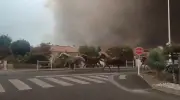 Cavalos são soltos e correm pelas ruas na França para fugir de incêndios florestais