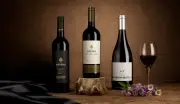 Caves Messias celebra 100 anos de tradição e excelência em vinhos portugueses
