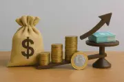 CDBs na XP pagam até 14,80% ao ano; LCIs e LCAs também oferecem altas taxas