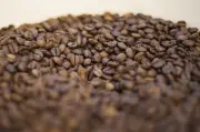 Cecafé defende café solúvel em tarifas nos EUA com otimismo moderado