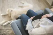 Cães e gatos sentem gravidez? Especialista explica mudanças