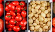 Cesta básica em Campo Grande: preços variam até 300% entre supermercados