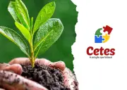 Cetes Ambiental: gestão de resíduos com responsabilidade e sustentabilidade