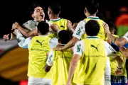 Chances de título do Palmeiras no Brasileirão 2026: veja os cálculos