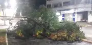 Chuva causa estragos em Governador Valadares; veja vídeos