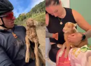 Ciclista resgata cabra coberta de lama e tremendo de frio em SC