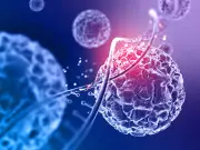 Cientistas criam célula sintética SpudCell que se alimenta e se reproduz