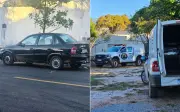 Cinco filhotes resgatados de porta-malas sob sol forte em Goiânia