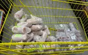 Cinco supermercados autuados por vender alimentos vencidos na Paraíba