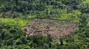 Câmara aprova anistia a crime ambiental de pequeno produtor rural
