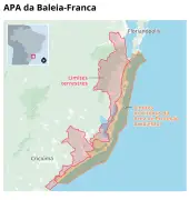 Câmara aprova urgência para projeto que reduz proteção da baleia-franca