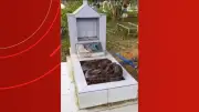 Cobra é flagrada sobre sepultura em Manaus; vídeo viraliza