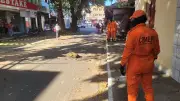 Colmeia cai e interdita rua em Parnaíba por horas