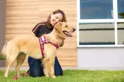 Concierge pet: serviço cuida da saúde e emergências dos animais