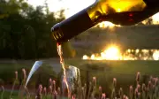 Consumo de vinho no Brasil bate recorde e impulsiona mercado