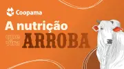 Coopama lança novas linhas de nutrição para pecuária de corte