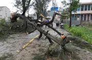 Coreia do Norte alerta para 'máxima vigilância' com tufão Bavi
