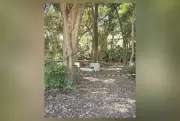 Corpo encontrado no Parque Augusta; moradores criticam parque aberto
