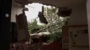 CUFA lança campanha SOS Ribeirão Preto para vítimas do temporal