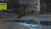 Depósito clandestino em Ipanema revela exploração de facções na orla do Rio