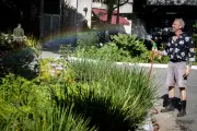Designer larga moda de luxo para plantar 5 mil mudas no centro de SP