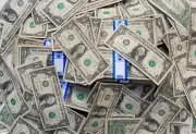 Dólar cai a R$ 5,16 no semestre com alta de 2,7% em junho