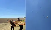 Drne chinês em forma de falcão voa entre aves sem ser notado; veja