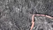 Drone mostra devastação dos incêndios florestais em La Vilavella, Espanha