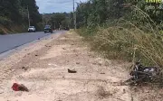 Duas pessoas morrem em acidente na AM-010 no Amazonas