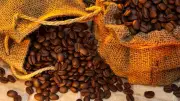 El Niño pode encarecer café, carne e outros alimentos no Brasil, dizem economistas