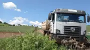 Empresários condenados a pagar R$ 6 milhões por desmatamento em terra indígena no PR