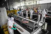 Escassez de mão de obra é alerta para economia