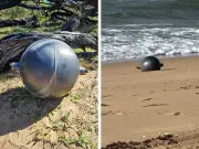 Esferas de titânio encontradas em praia na Austrália podem ser lixo espacial