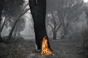 Espanha autoriza retorno gradual de evacuados após maior incêndio da história