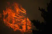 Espanha e França combatem incêndios florestais; calor intenso atinge sul da Europa