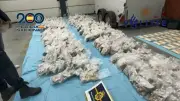 Espanha e Holanda apreendem 947kg de ecstasy em maior apreensão da Europa