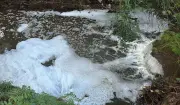 Espuma cobre Córrego Água Branca em Piracicaba; Cetesb investiga