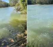 Espuma e mau cheiro no Rio Pomba preocupam moradores no Noroeste Fluminense