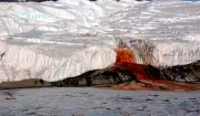 Estudo revela por que a Antártida congelou há 34 milhões de anos apesar de clima quente