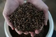 EUA: tarifa de 25% ameaça café solúvel brasileiro e consumidores