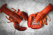 EUA taxam 25% peixes e crustáceos; tilápia e lagosta congelada isentas