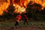 Europa combate incêndios florestais; Portugal, Grécia e Espanha em alerta