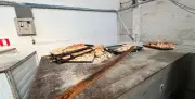 Fábrica de pães interditada por falta de higiene em Juiz de Fora